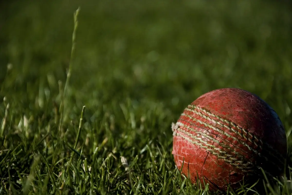 Cricket Exchange Software Development